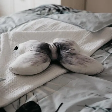 Apartamento Kornkammer Und Kirschstuebchen Kettig